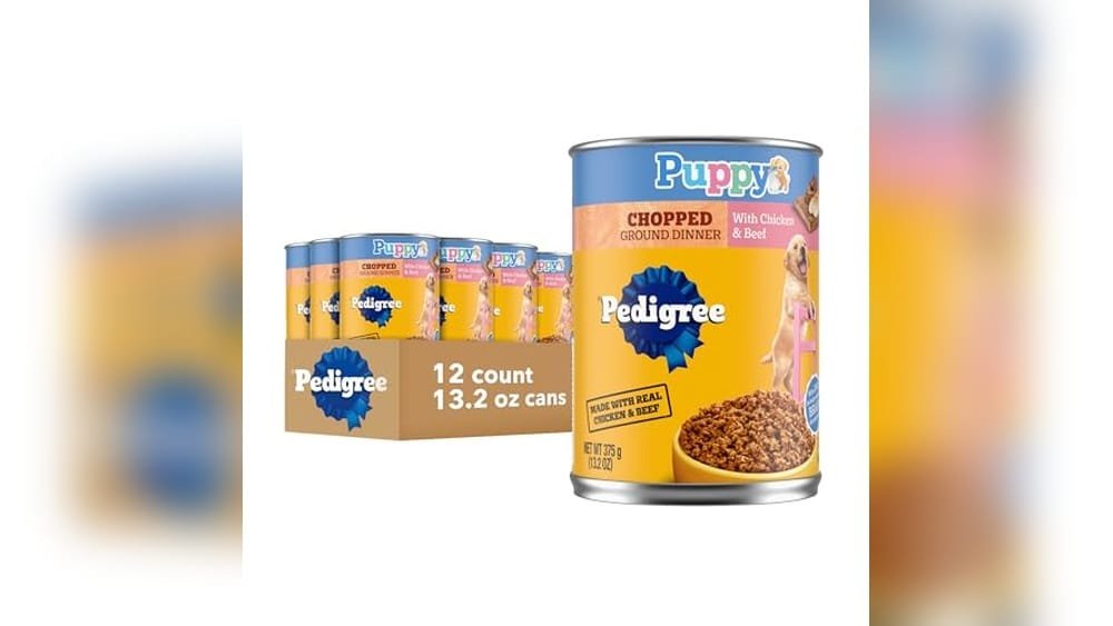 Best Wet Dog Food for Puppies