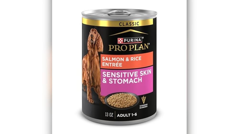 Best Wet Dog Food for Skin Allergies