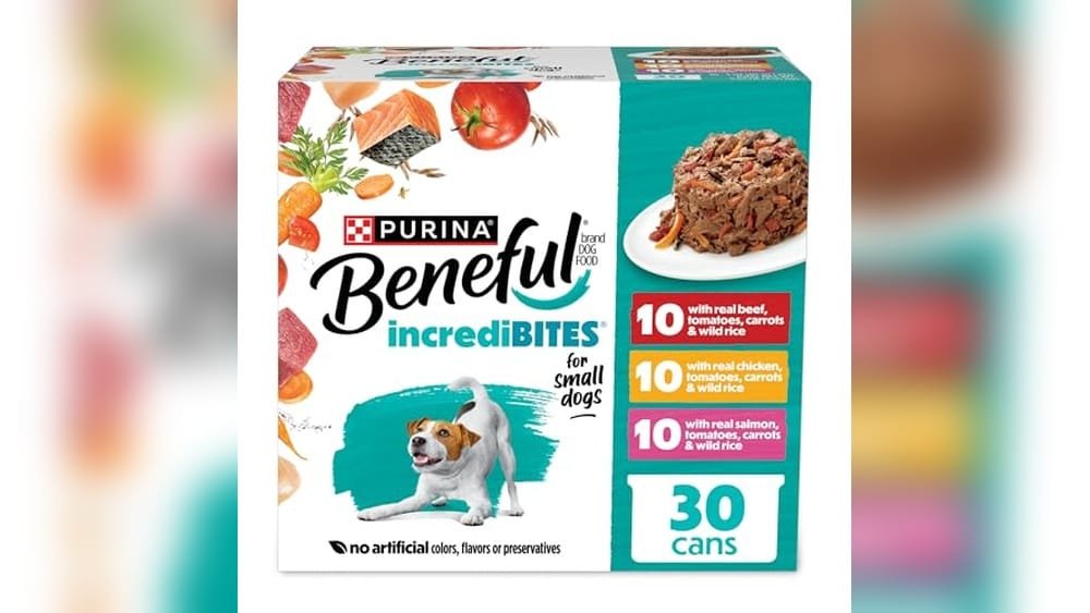 Best Wet Dog Food for Small Dogs