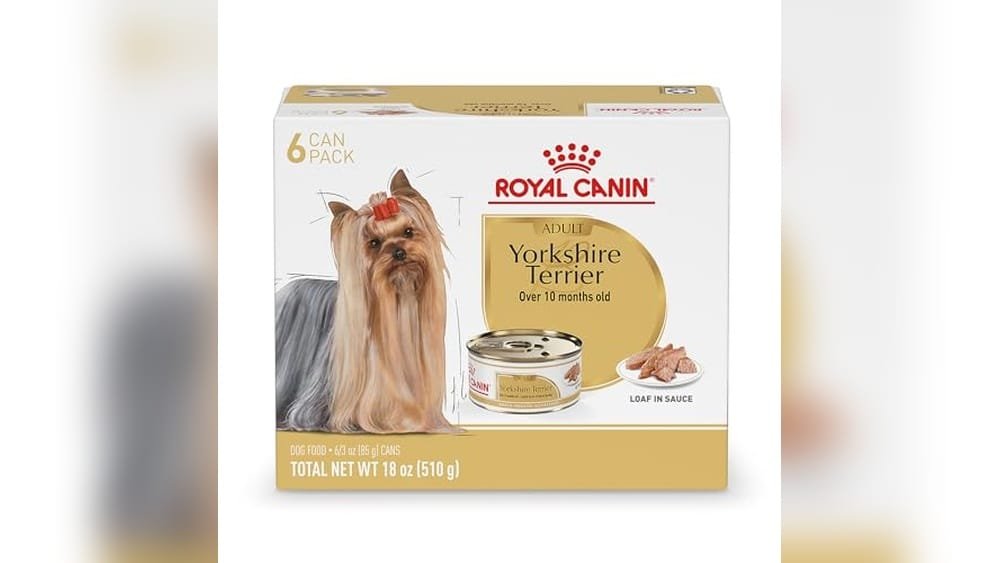 Best Wet Dog Food for Yorkies