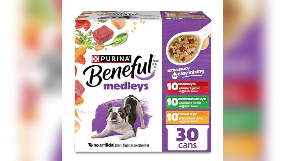 Best Wet Dog Food to Mix With Dry