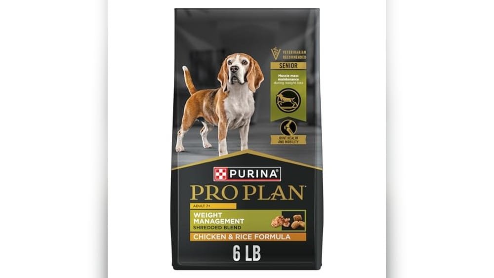 Best Dog Food for Overweight Senior Dogs