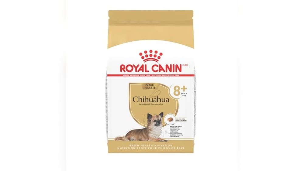 Best Dog Food for Senior Chihuahua