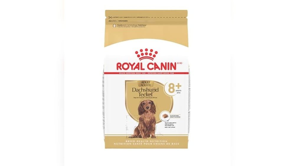Best Dog Food for Senior Dachshunds