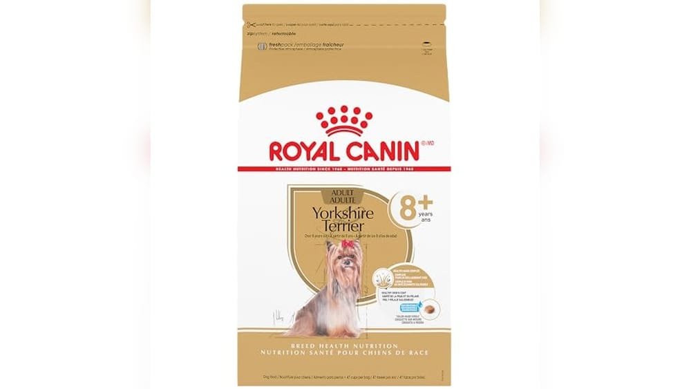 Best Dog Food for Senior Yorkies