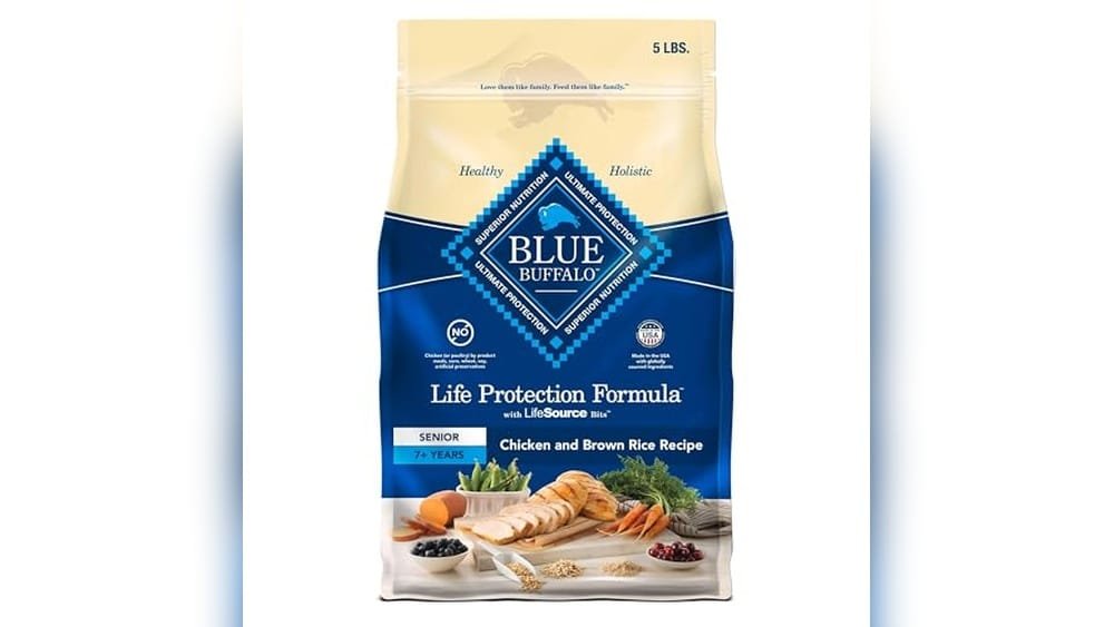 Best Fresh Dog Food for Senior Dogs