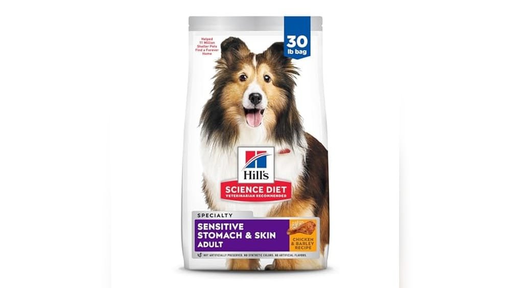 Best Raw Dog Food for Sensitive Stomach