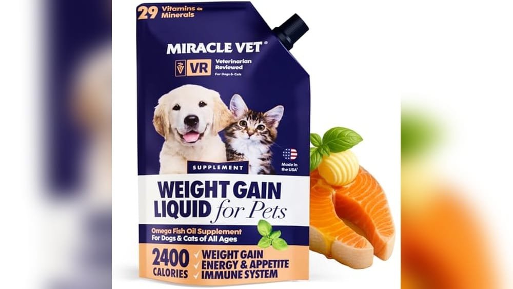 Best Senior Dog Food for Weight Gain