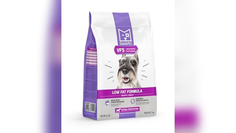 Low Fat Raw Dog Food