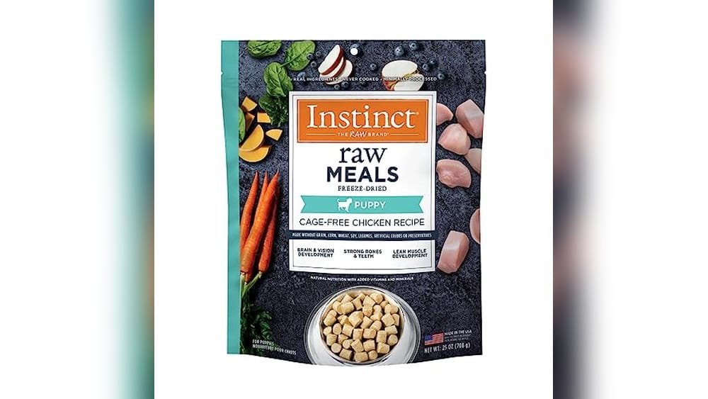 Raw Dog Food for Puppies