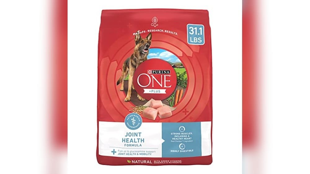 Top Senior Dog Food for Joint Health