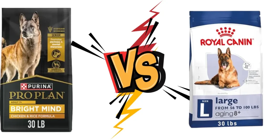Purina Pro Plan Bright Mind vs Royal Canin Senior