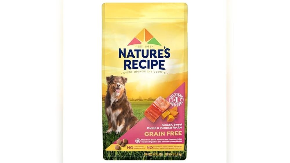 Best Wheat Free Dry Dog Food