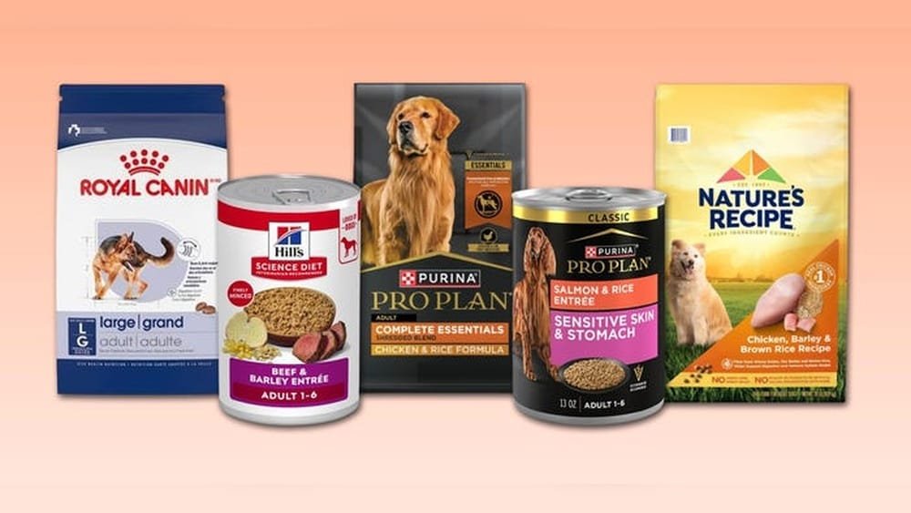 Do Vets Recommend Royal Canin Dog Food? Expert Insights