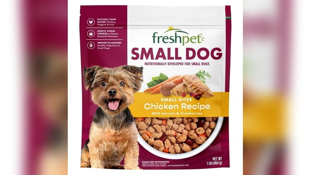 How to Choose Dry Dog Food for Small Breed Dogs