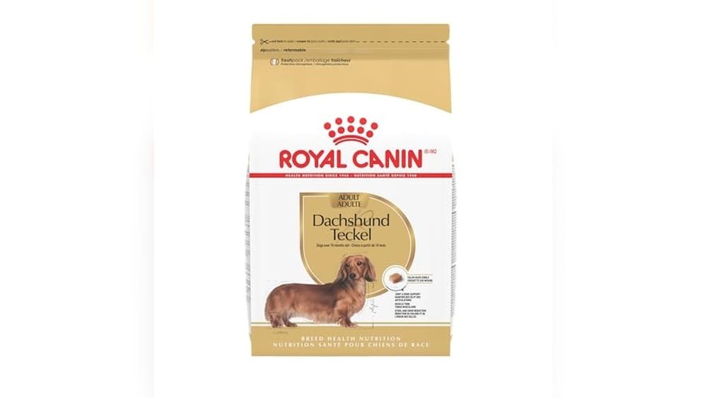 Royal Canin Dog Food for Dachshunds