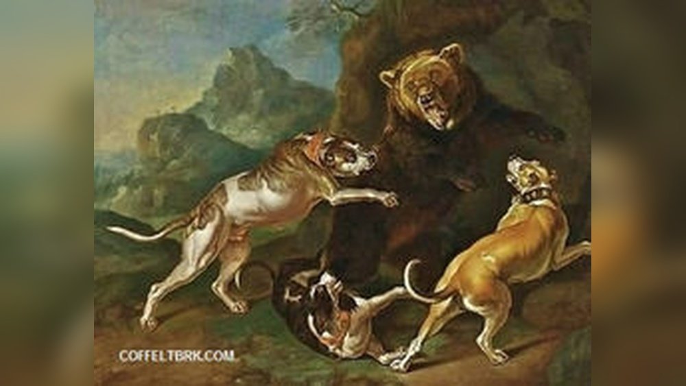 History of the American Bulldog