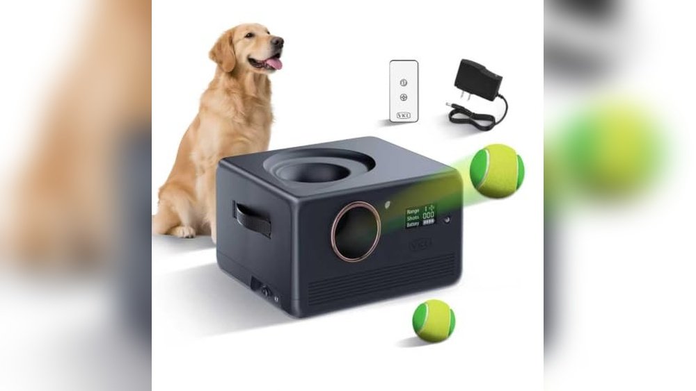 Best Automatic Ball Launchers for Dogs