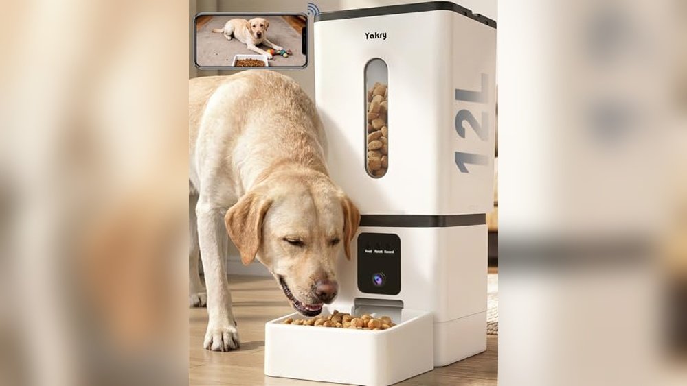 Best Automatic Dog Feeder