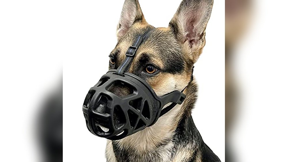Best Basket Muzzle for Dog Training