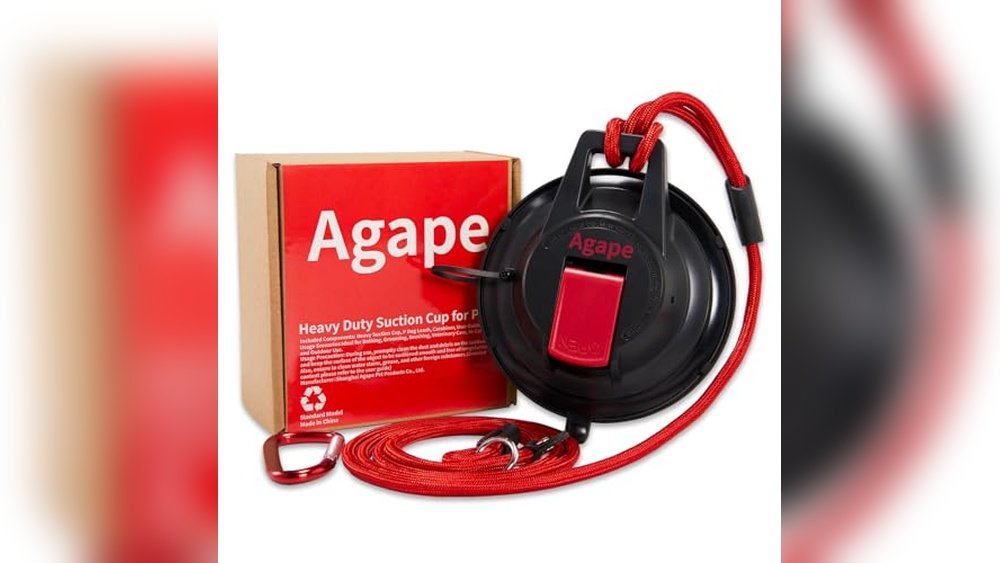 Best Bath Restraint Leash for Dogs