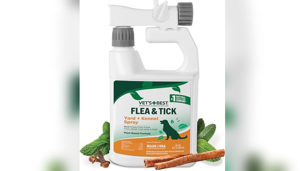 Best Bug Spray Safe for Dogs Outdoors