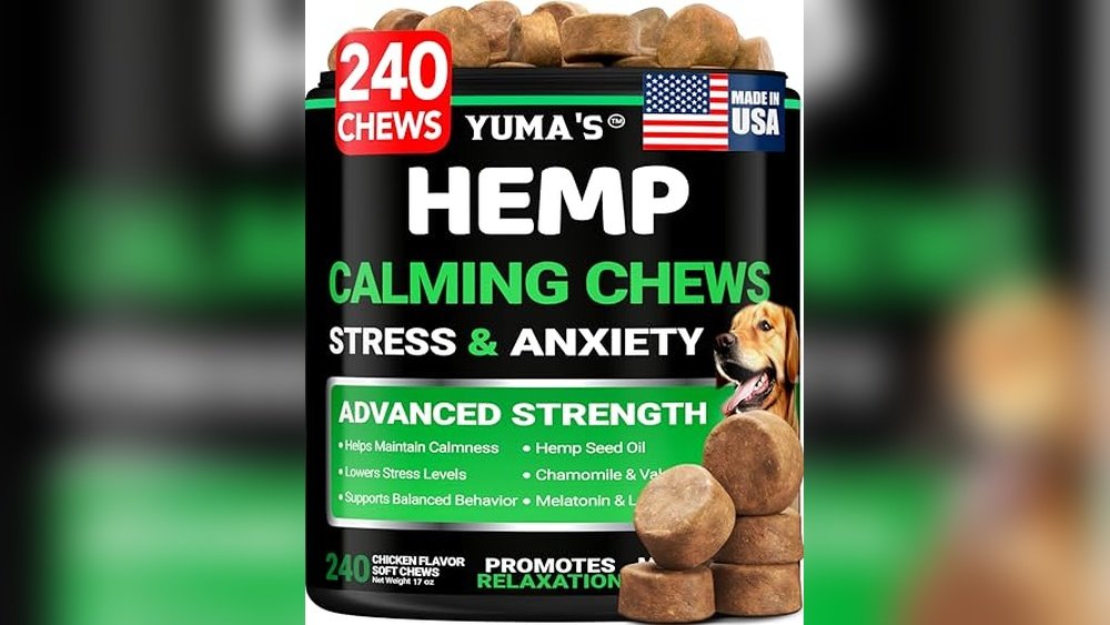 Best Calming Chews for Dogs