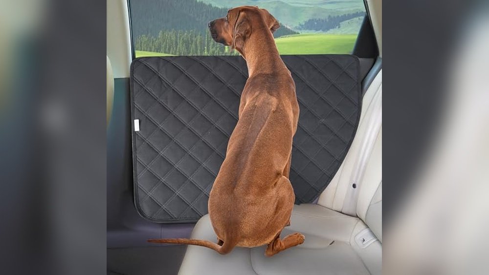 Best Car Door Scratch Protector for Dogs