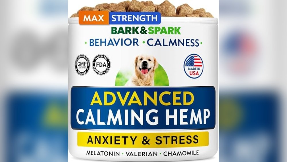 Best Cbd Chews for Dogs