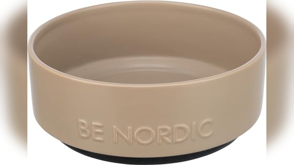 Best Ceramic Dog Bowls