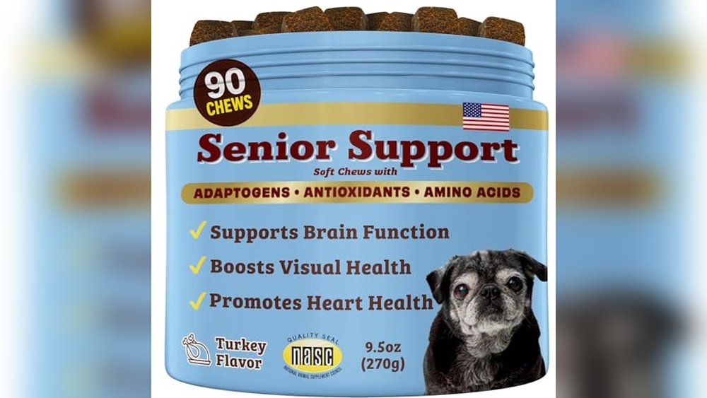 Best Cognitive Support Supplement for Senior Dogs