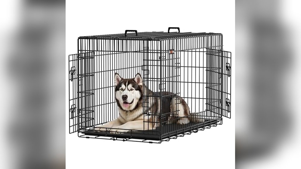 Best Collapsible Dog Crate