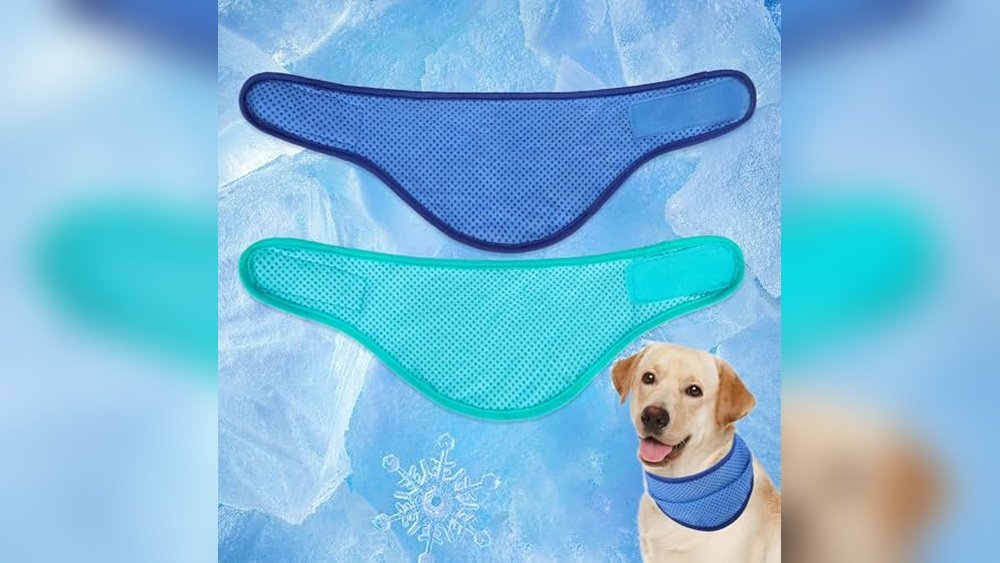 Best Cooling Bandana for Active Dogs