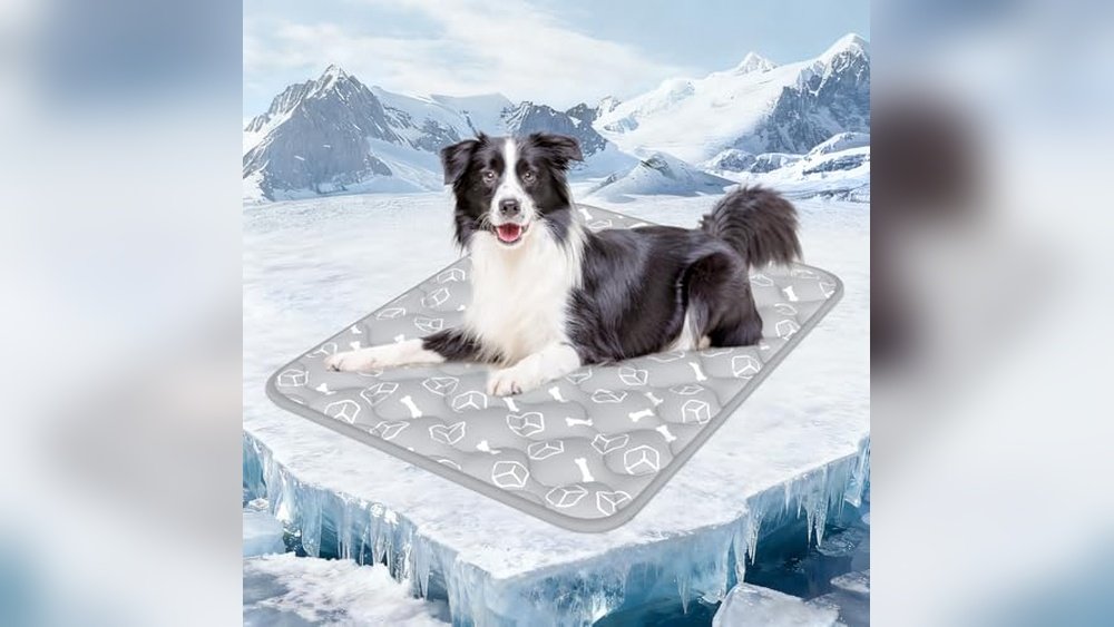 Best Cooling Mat for Dogs
