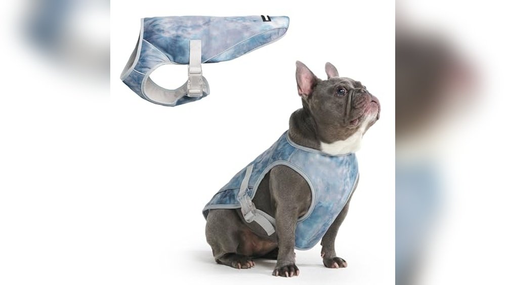 Best Cooling Vest for Dogs in Summer