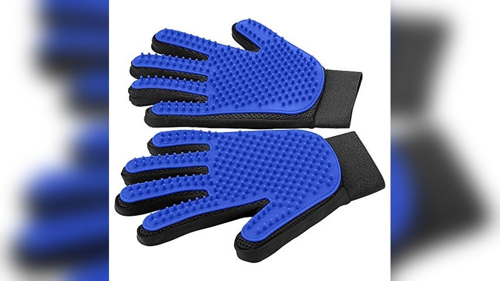 Best Deshedding Gloves for Dogs