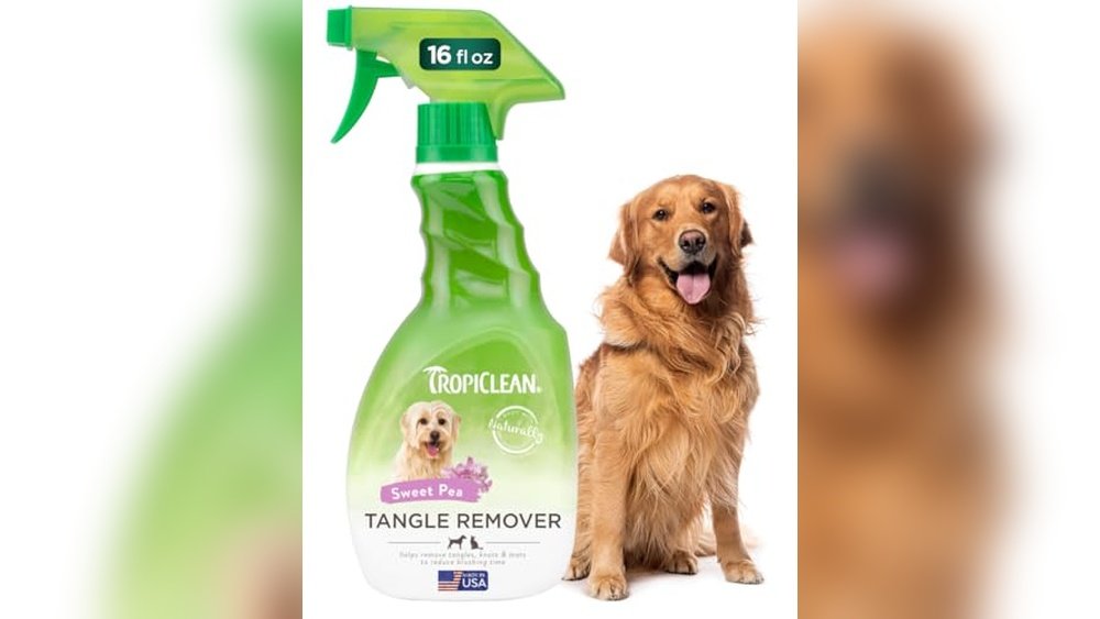 Best Detangling Spray for Dogs