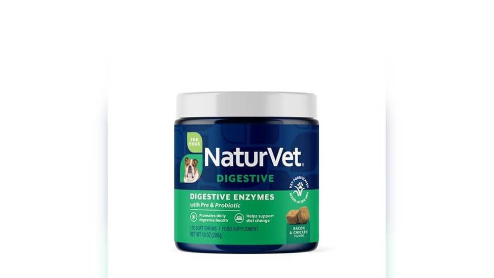 Best Digestive Enzymes for Dogs