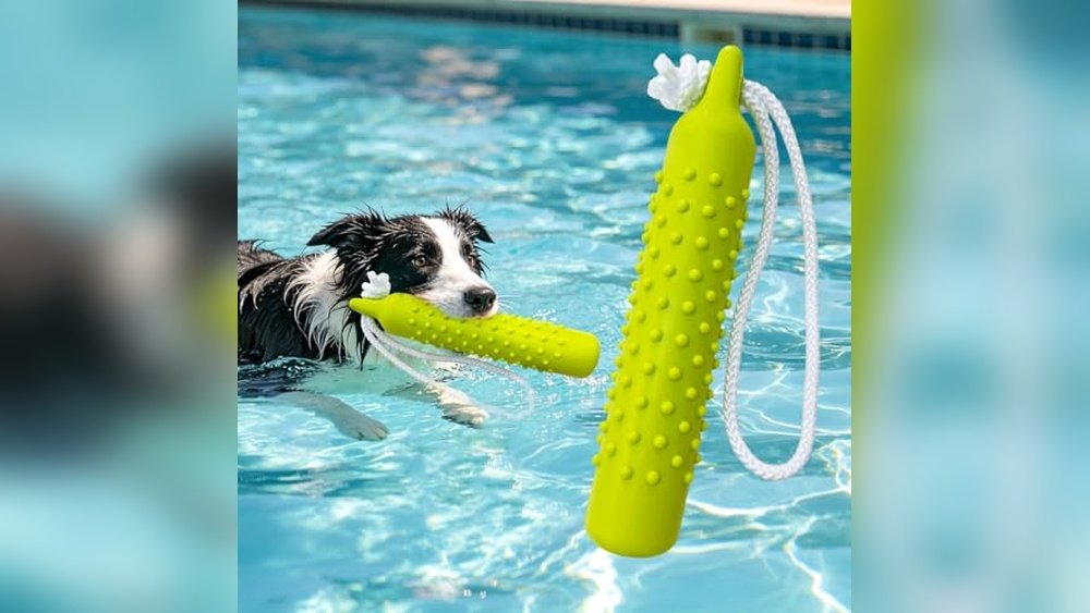 Best Dock Diving Toys for Dogs