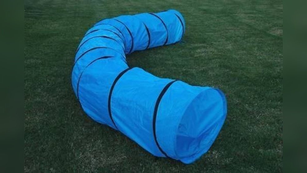 Best Dog Agility Tunnel