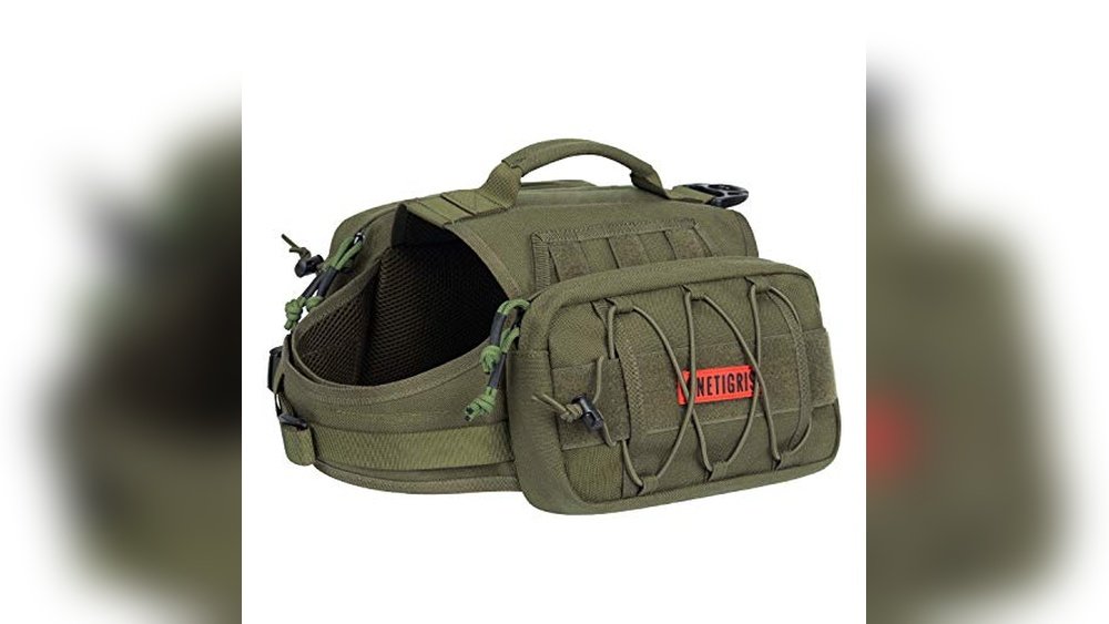 Best Dog Backpack for Hiking