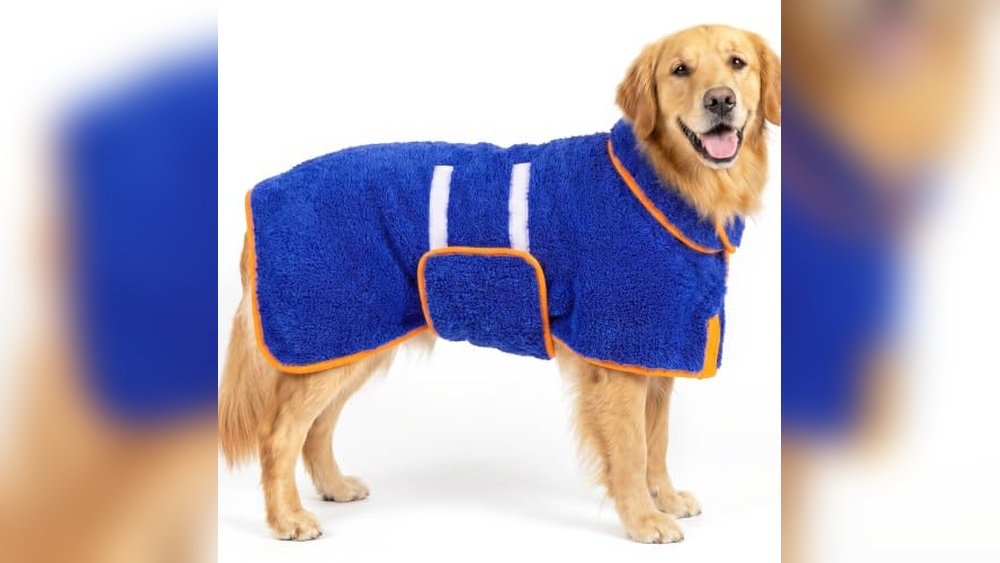 Best Dog Bath Robe for Large Breeds