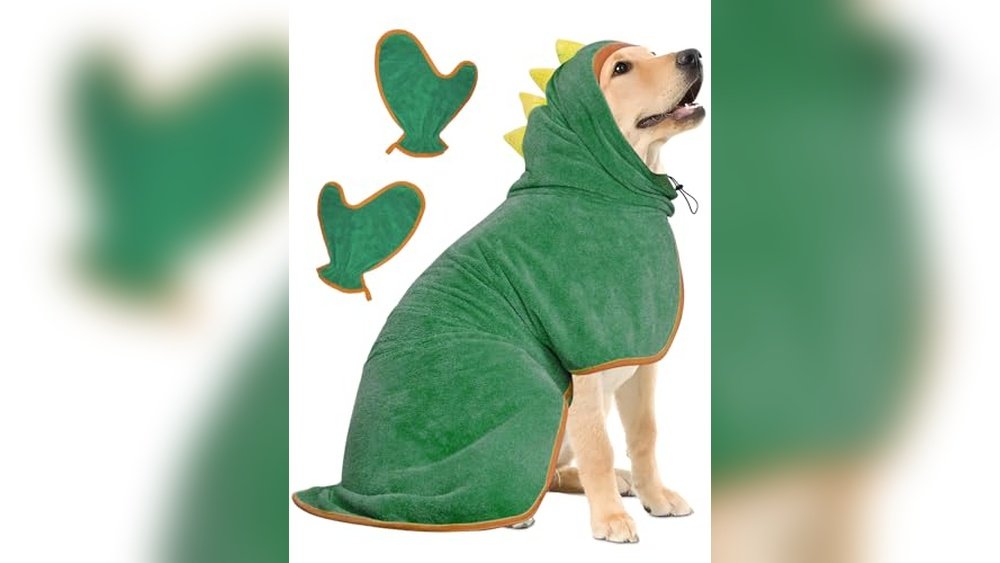 Best Dog Bathrobe for Drying After Bath