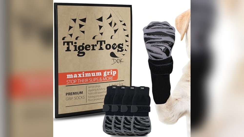 Best Dog Boot Liners for Paw Protection