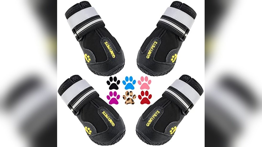 Best Dog Boots for Snow