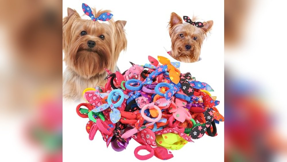 Best Dog Bow Ties for Photos