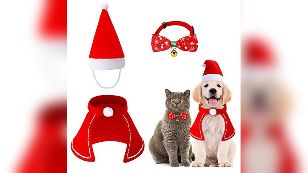 Best Dog Christmas Outfits