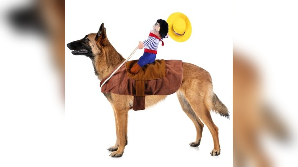 Best Dog Costumes for Halloween