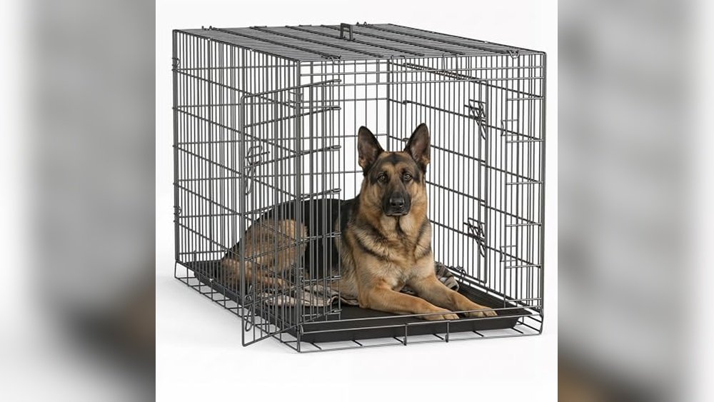 Best Dog Crate for Large Breeds