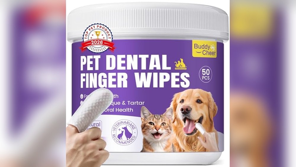 Best Dog Dental Wipes